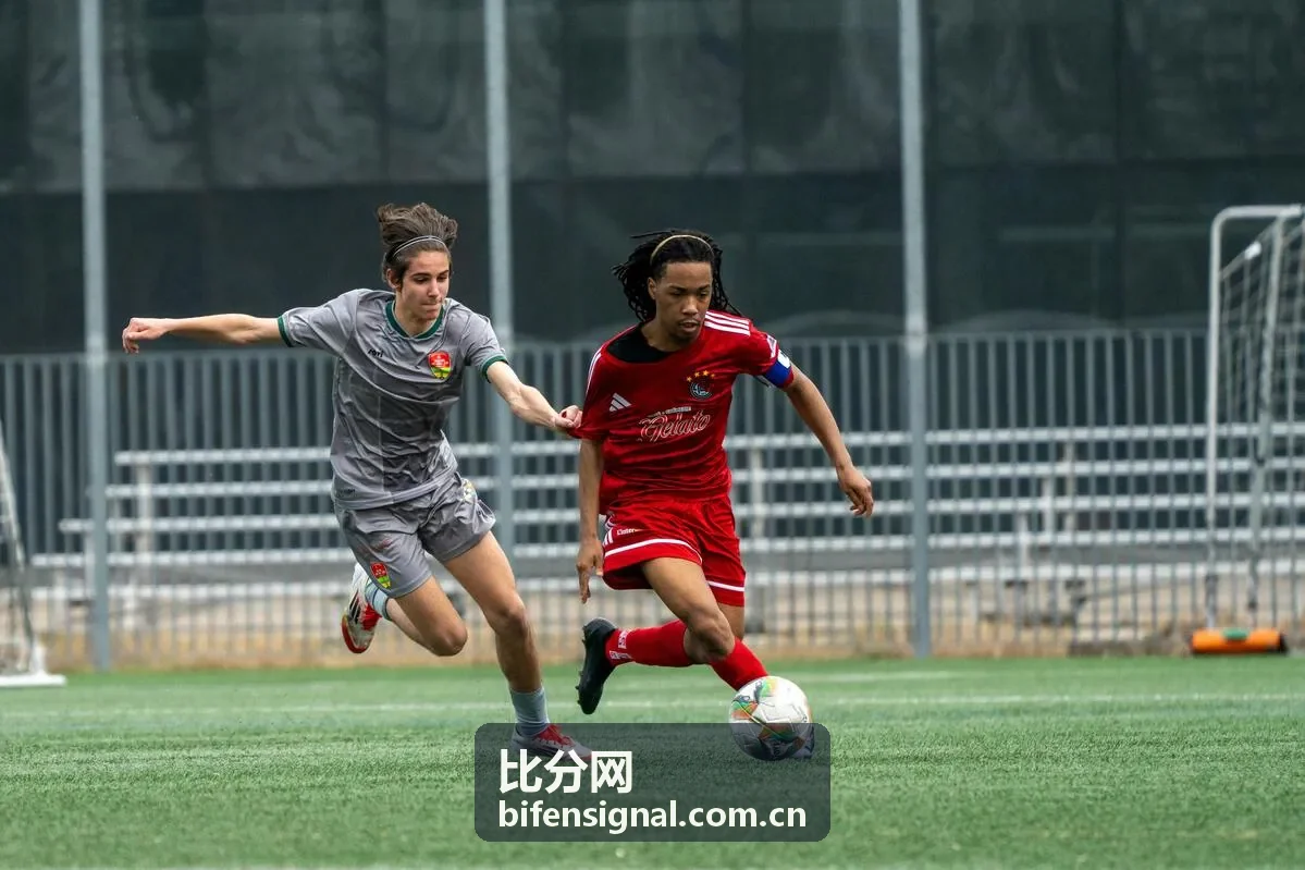 比分网CBA辽宁对阵广东赛事封面